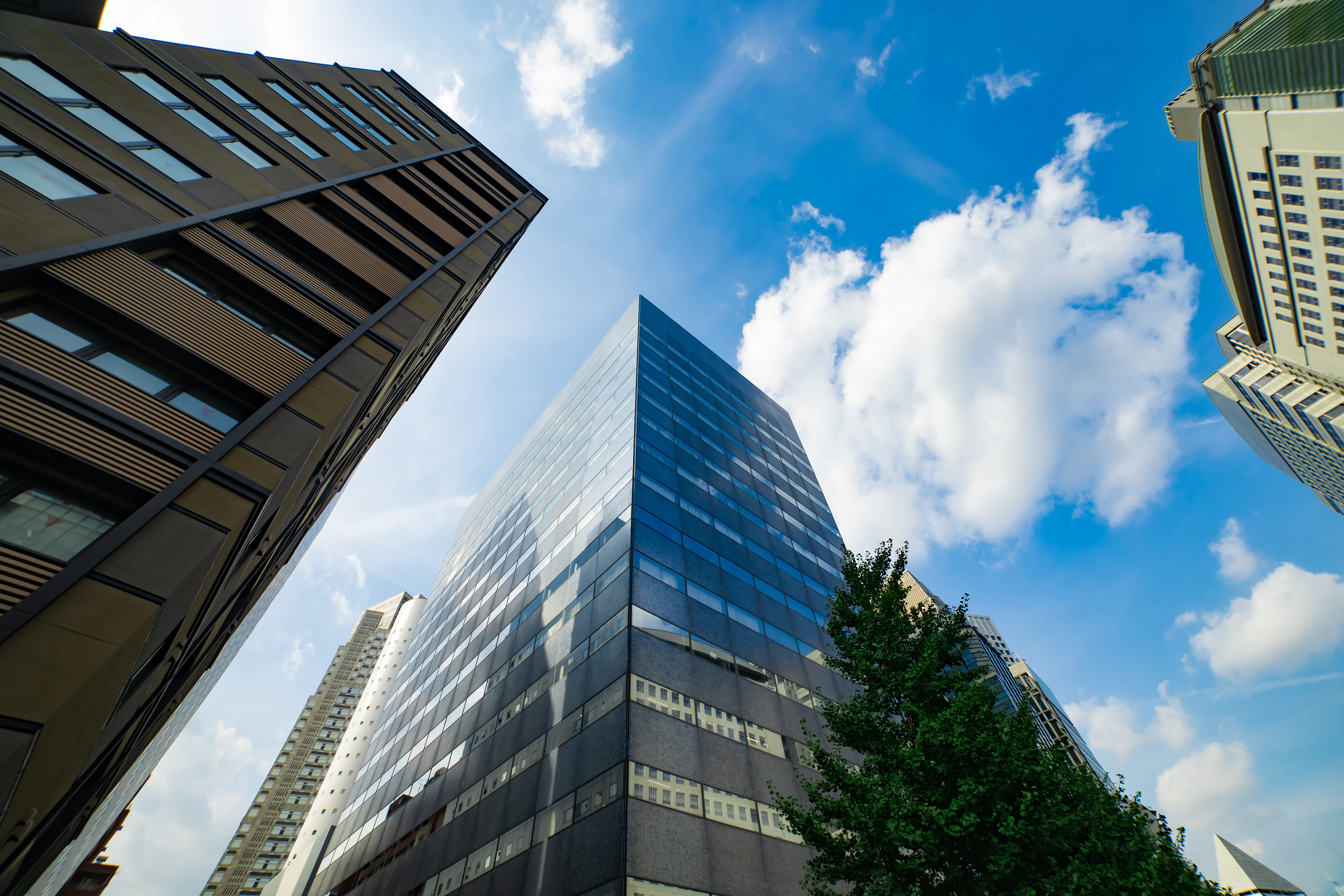 IT企業